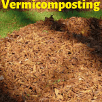 DIY Vermicomposting leaf piles in the Fall