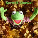 DIY Vermicomposting Kermit in a pile of leaves.