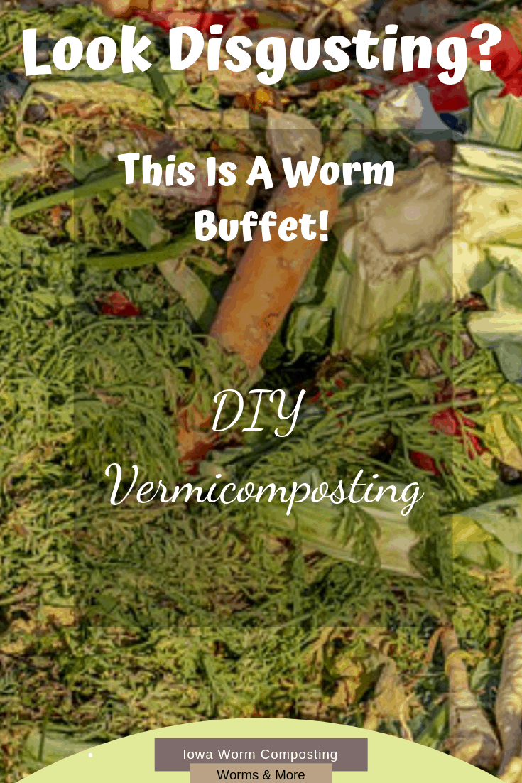 DIY Made Easy Iowa Worm Composting