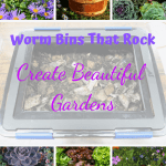 Worm Bins That Rock composting worms in a worm bin and a variety of harvested vegetables