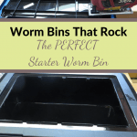 Worm Bins That Rock worm bin and lid.