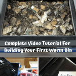 Worm Bins That Rock building a worm bin.