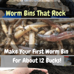 Worm Bins That Rock worm bin.