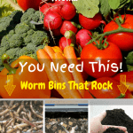 Worm Bins That Rock vegetable produce, composting worms, worm castings, and a worm bin.