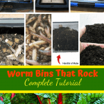 Worm Bins That Rock black plastic worm bin