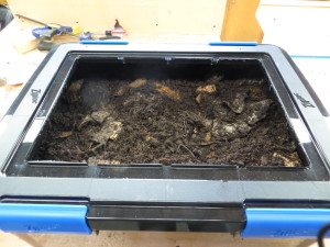 Bedding in the worm bins.