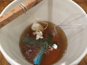 Making Worm Tea at Home