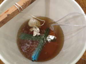 Making worm tea at home
