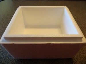 Cheap Worm Bins - Styrofoam box