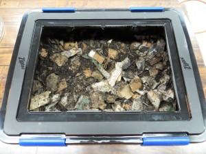 Cheap Worm Bins - Ziploc Storage Box