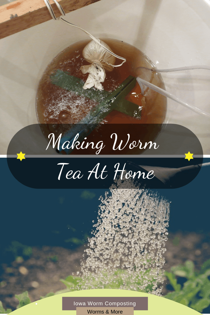 download worm casting tea