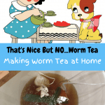 Making Worm Tea at Home cartoon girl and dog having a tea party. A bucket of worm tea brewing.