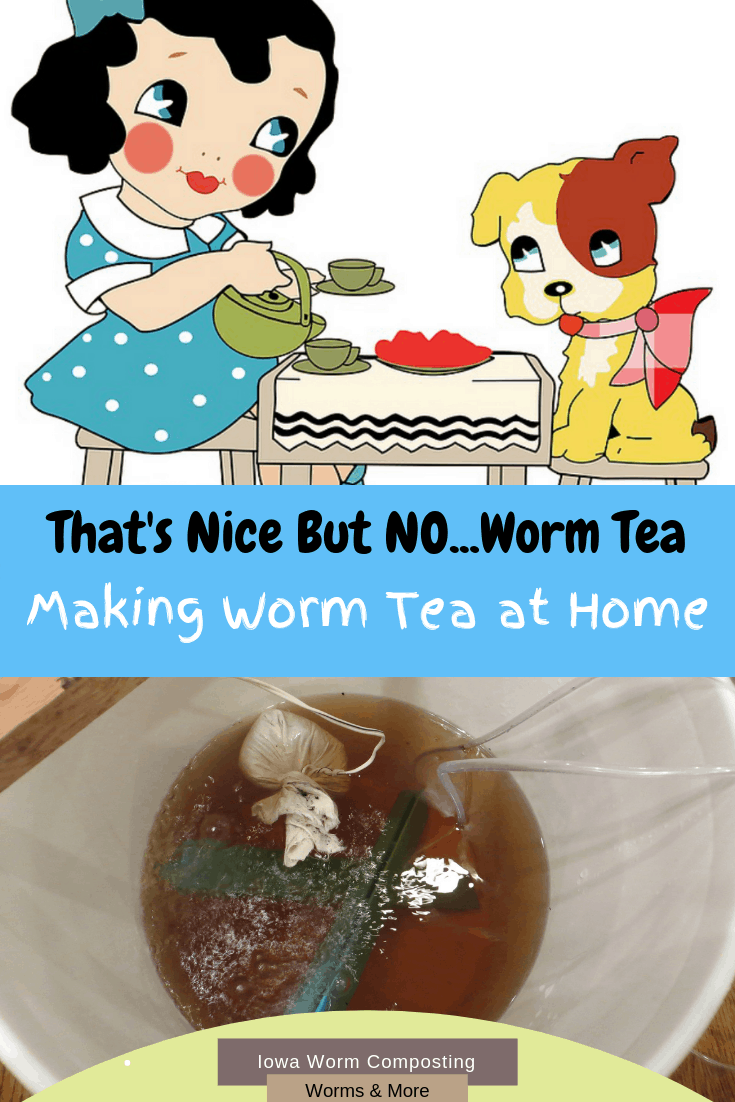 Making Worm Tea at Home Iowa Worm Composting