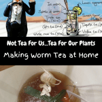 Making Worm Tea at Home cartoon character with long island ice tea, a recipe, and a bucket of worm tea brewing.