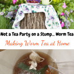 Making Worm Tea at Home tea party on a stump outdoors