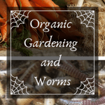 Organic Gardening and Worms variety of vegetables.