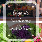 Organic Gardening and Worms produce.