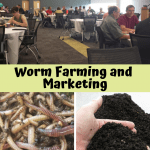 Vermicomposting Conference 2016 James B. Hunt Jr. Library.