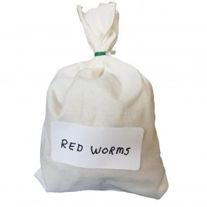 Red Worms