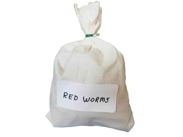 Red Worms