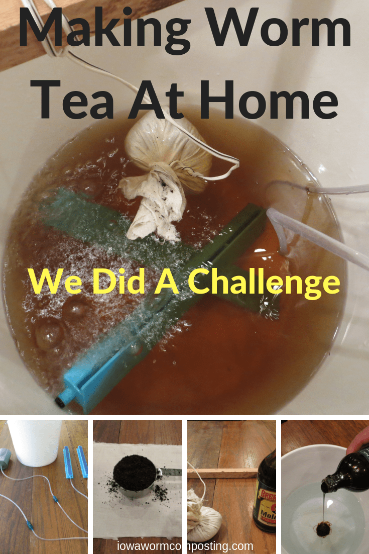 Making Worm Tea at Home Iowa Worm Composting