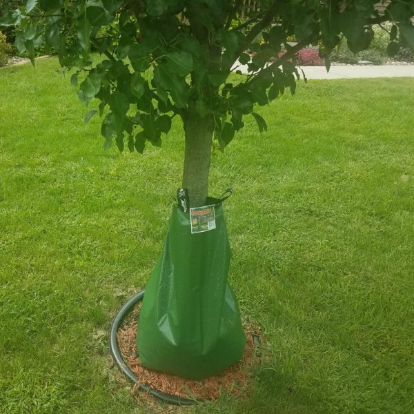 Treegator Original Watering Bag For Trees