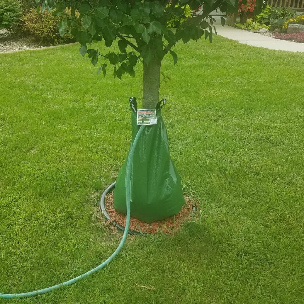 3 Treegator Original 20 Gal Slow Release Watering Bags for Trees for sale  online | eBay