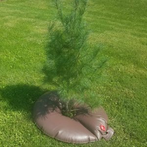 Treegator Jr Pro Tree Watering Bag