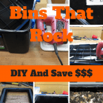 Worm Bins That Rock