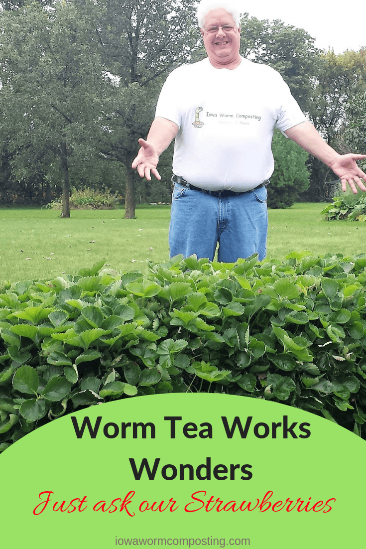 download worm casting tea download worm casting tea