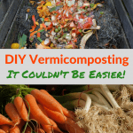 DIY Vermicomposting Easier Compost pile and vegetables