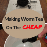 Making Worm Tea on the cheap a bucket of worm tea brewing