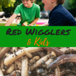 Red Wigglers and Kids 2 Two Kids and a some red wigglers