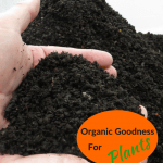 Worm Castings Revealed Organic Goodness for Plants A handful of worm castings