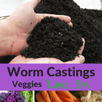 Worm Castings Revealed Veggies Love Em Worm castings and vegetables