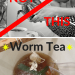 Making Worm Tea at Home Regular tea and worm tea brewing