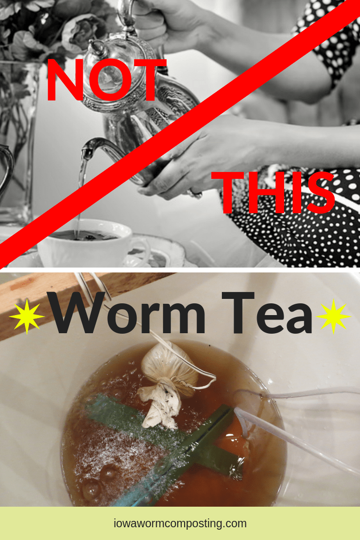 Making Worm Tea at Home Iowa Worm Composting