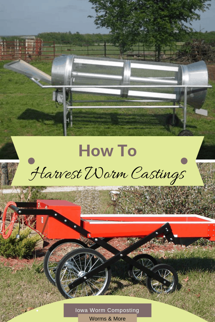 How to Harvest Worm Castings Iowa Worm Composting
