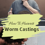 How To Harvest Worm Castings a big pile of worm castings and a small handful of worm castings.