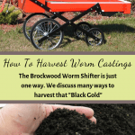 How To Harvest Worm Castings Brockwood Worm Shifter and worm castings.