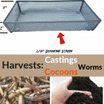 Worm Castings Screen harvester designed for worm growers that have just a few worm bins to harvest.