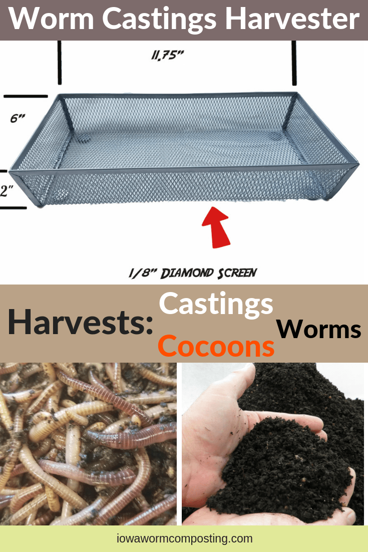 How to Harvest Worm Castings Iowa Worm Composting