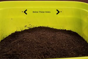 How To Store Worm Castings Bucket with Holes and Worm Castings 1