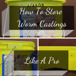 How To Store Worm Castings 3 worm castings storage buckets.
