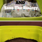 How To Store Worm Castings bucket of worm castings