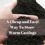 How To Store Worm Castings Pile of Castings_