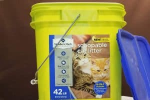 How To Store Worm Castings Bucket1