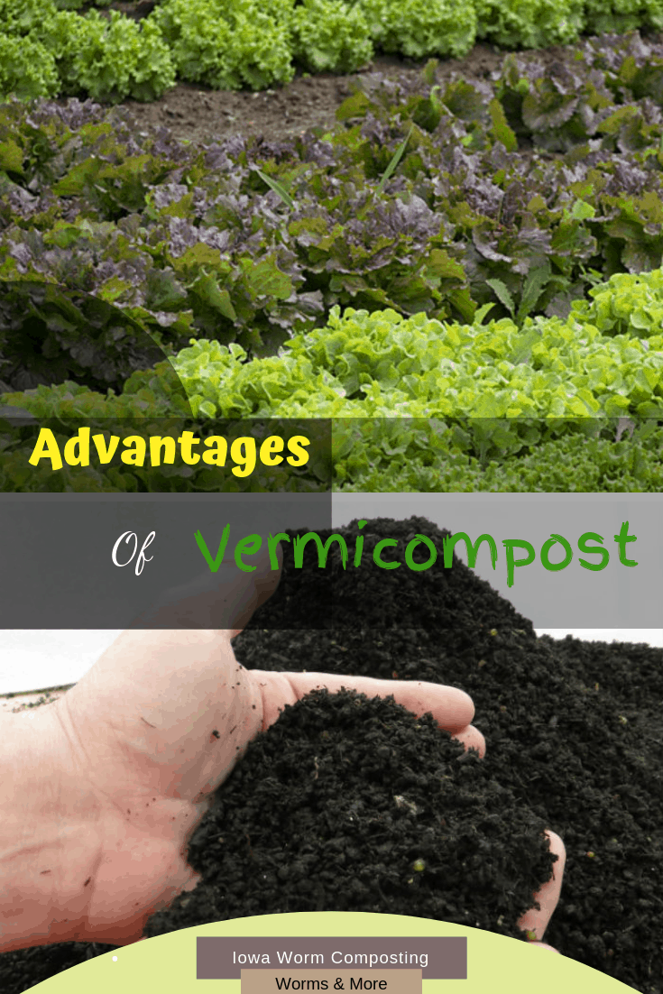 advantages of leave a comment worm castings composting