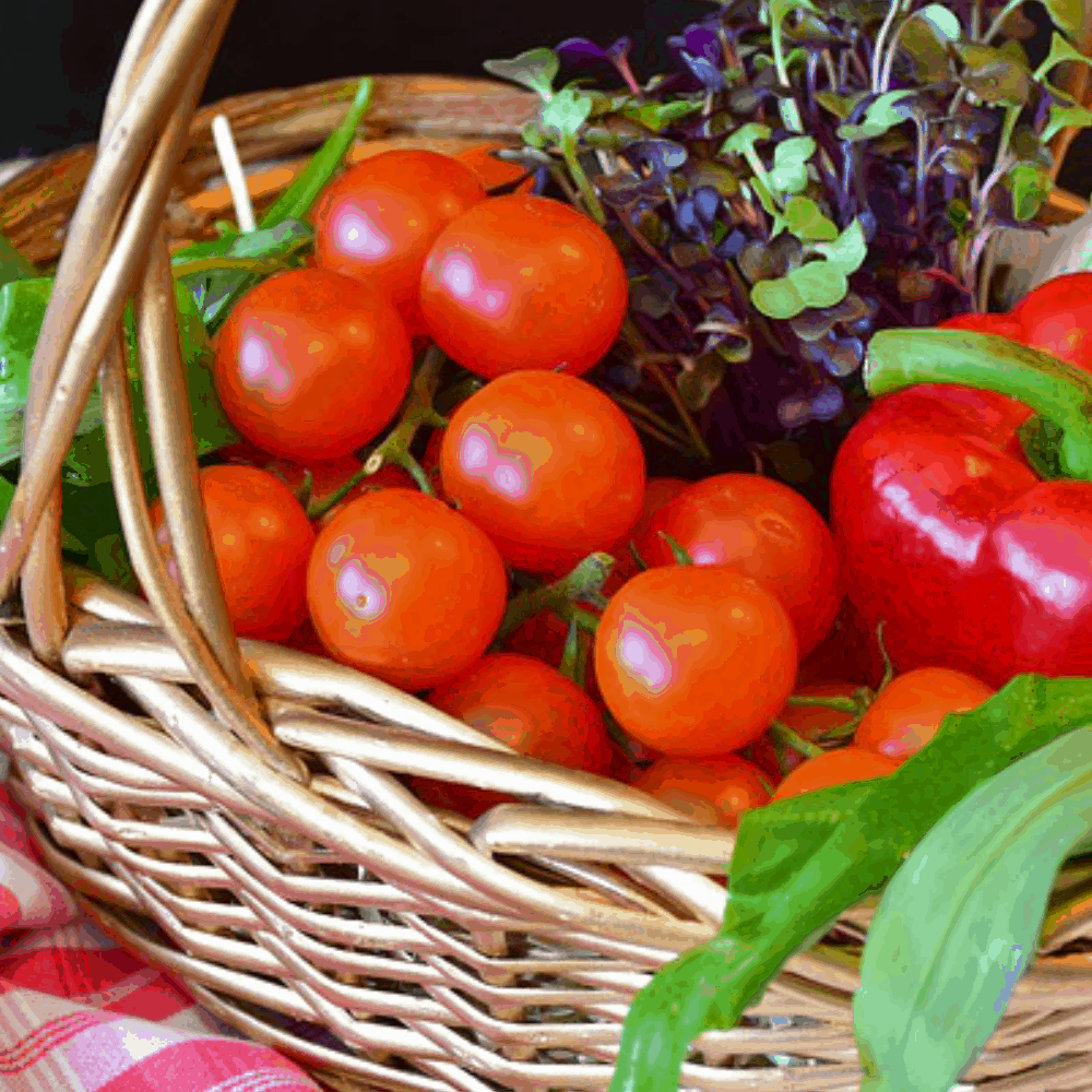 Advantages of Vermicompost vegetable basket.