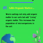 Benefits of Worm Castings Tip 1 Adds organic matter to your soil